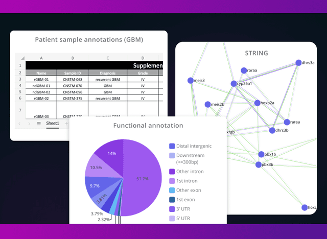 Pluto product update - Spring 2024